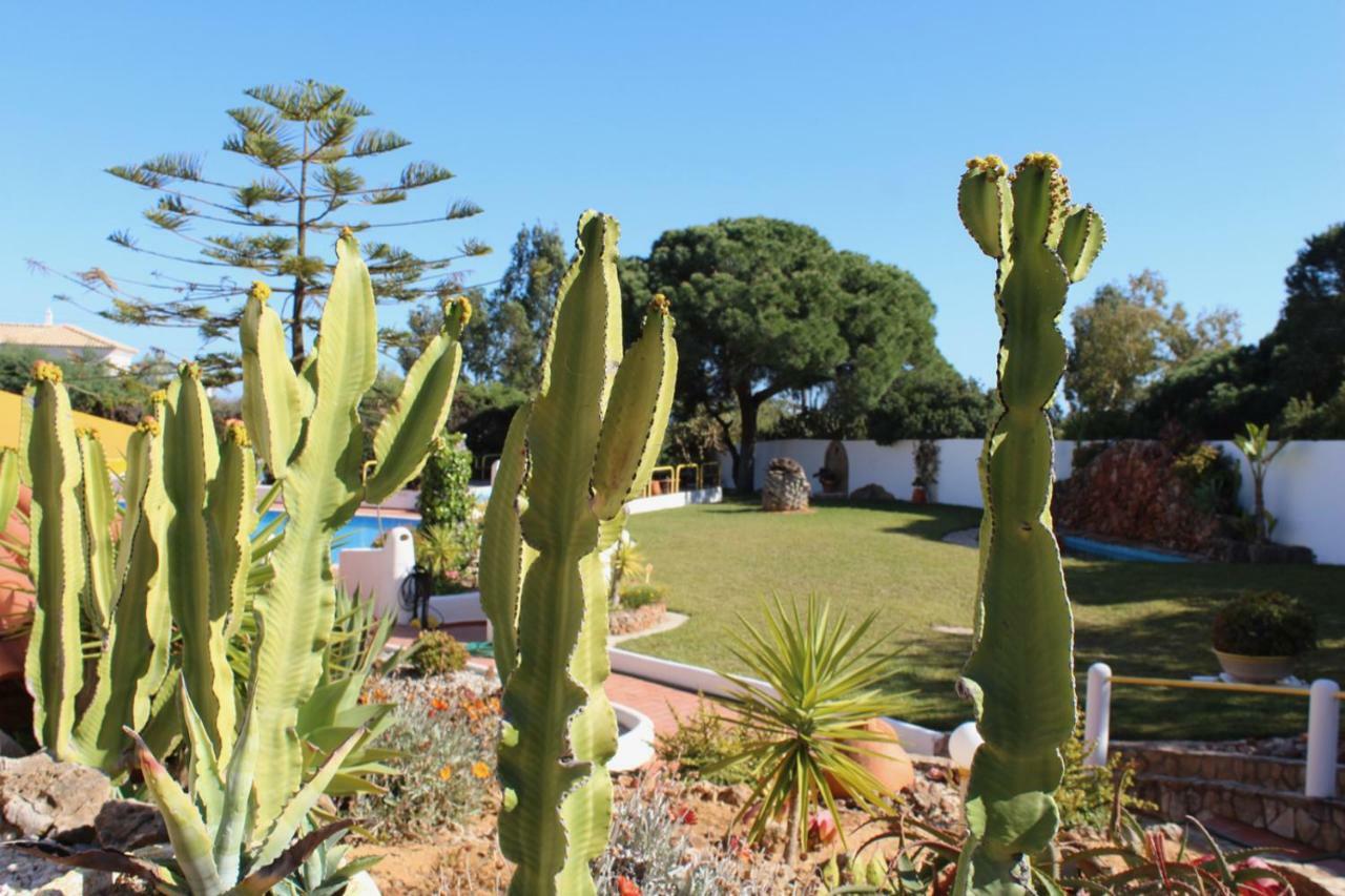 Casa Areias Appart-hotel Albufeira Extérieur photo